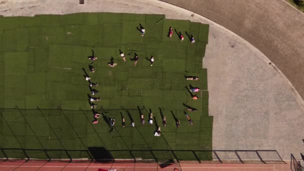 Una Grabación Aérea Descendente Dinámica Grupo Estudiantes Acostados Hierba Del — Vídeo de stock