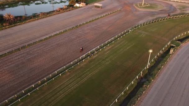 アルゼンチン ブエノスアイレスの競馬場 ヒッドロモ アルゼンチノ パレルモ を冷静に歩きながら ライダーの横にある馬のダイナミックな空中映像を周回する — ストック動画