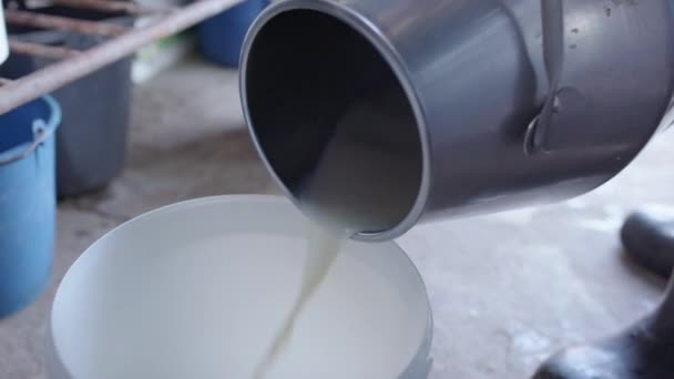 Handheld Fresh Milk Poured Stainless Steel Plastic Bucket — Stockvideo