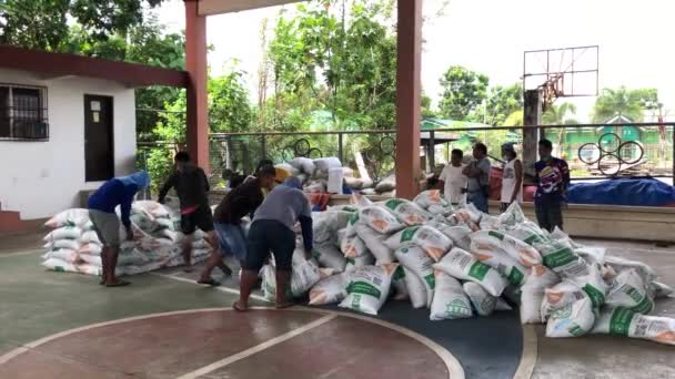 Agricultores Organizar Sacos Cultura Para Plantação — Vídeo de Stock