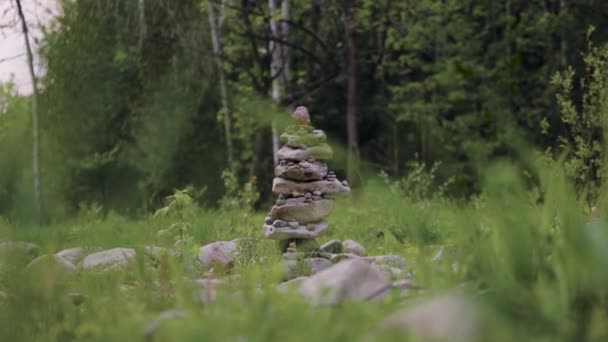 Natural Stacked Rock Pile Statue Forest Scattered Stones Grass Foreground — Stock Video