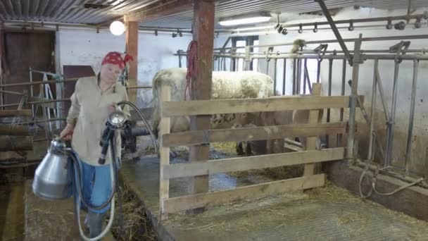 Handheld Farmer Leaves Milking Parlour Bucket Milk — Video Stock