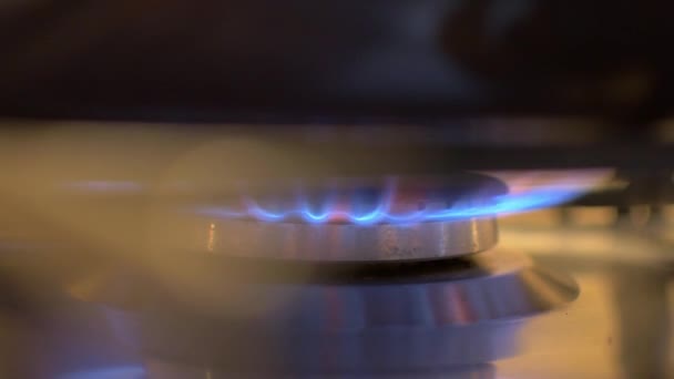 Close Blue Gas Flame Burner Cooking Pan — Video Stock