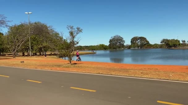 Images Large Lake Middle Brasilia City Park Cyclist Passing Summer — Stockvideo