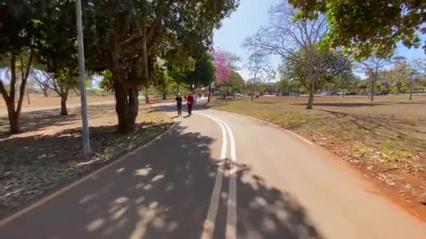 Sliding Images One Many Pedestrian Roads Midst Green Nature Brasilia — Stok video