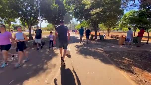 Wide Images Follow Man Walking His Dog Brasilia City Park — Stockvideo