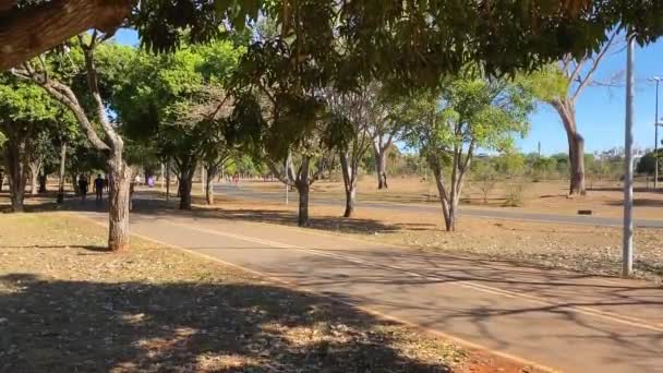 Steady Shot Showing Pedestrian Path Next Bicycle Road Green Nature — Vídeos de Stock