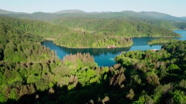 Dicht Gebladerte Onthuld Weelderige Bos Bergen Van Plitvice Meren National — Stockvideo
