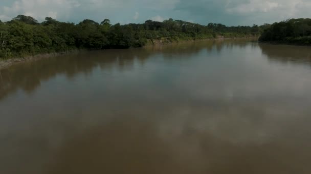 Vuela Lejos Río Amazonas Selva Exótica Con Espesura Densa Disparo — Vídeo de stock