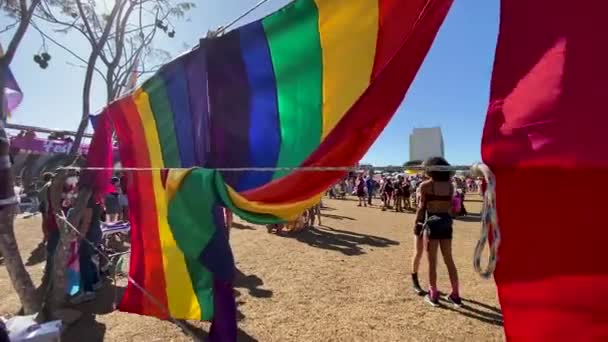 Geniş Kayan Atış Renkli Gökkuşağı Bayraklarını Geçer Gay Onur Festivalinde — Stok video
