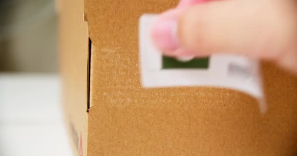 Hands Applying Made Pakistan Flag Label Shipping Cardboard Box Products — Video