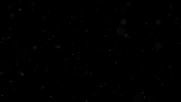 Floating White Particles Abstract Background — Vídeo de Stock