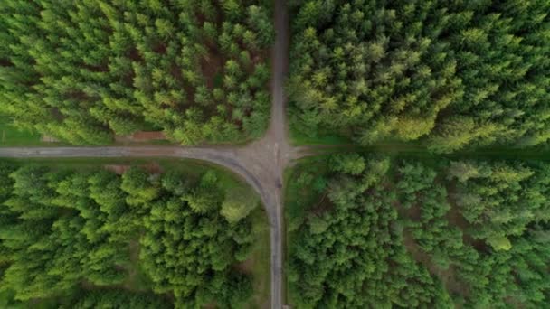 Aerial Bird Eye View Crossroad Two Roads Middle Dense Green — 图库视频影像