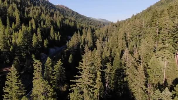 Sunset Ariel Drone Shot Stabilized Moving Slowly Treeline Wilderness Sierra — Video Stock