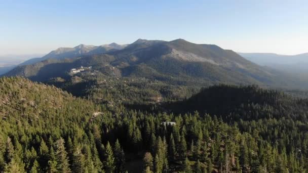 Sunset Drone Shot Moving Slowly Trees Forest South Lake Tahoe — Video Stock