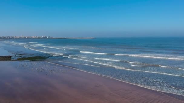 Seashore Drone Shot Casablanca Morocco — Vídeo de Stock