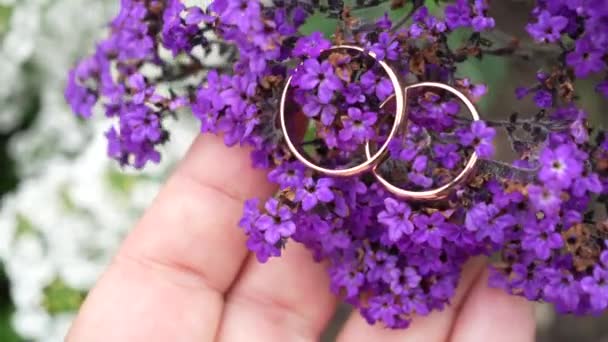 Свадебные Кольца Маленьком Фиолетовом Цветке — стоковое видео