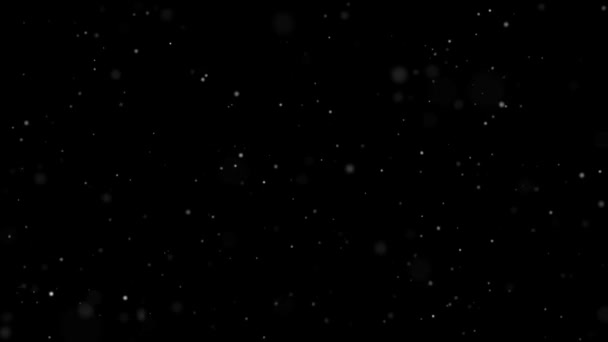 Dust Particles Black Background Abstract Background — ストック動画