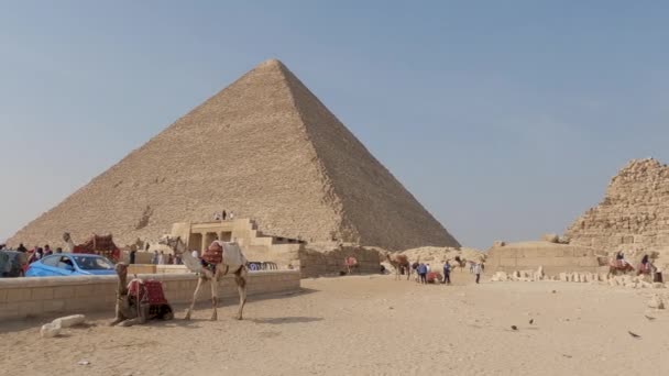 Turizmus Giza Nekropolisz Egyiptomban Tevék Giza Fennsíkon — Stock videók