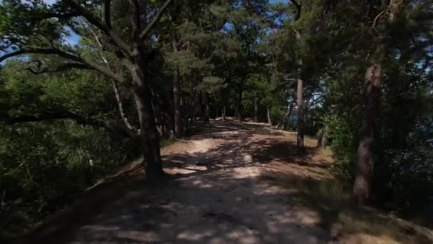 Mișcare Rapidă Înainte Care Arată Calea Peninsulă Lacul Ijzeren Man — Videoclip de stoc