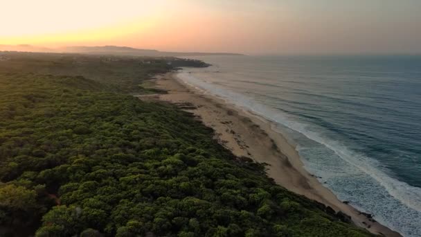 Beach Aerial Drone Puerto Escondido Ocean Jungle Shore Surfing Destination — Vídeo de Stock