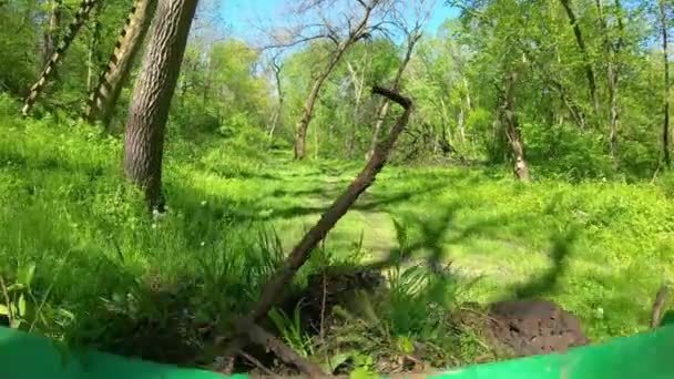 Pov Operating Small Green Tractor Heavily Wooded Area Using Loader — Stock Video