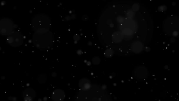 Dust Particles Black Background Abstract Background — Vídeo de stock