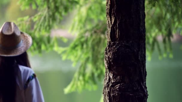 Romanian Girl Walks Forest Touching Tree Bark — Stockvideo