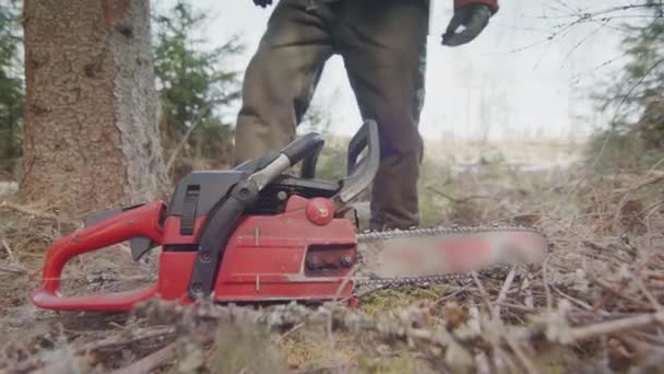Slow Motion Closeup Chainsaw Picked Sweden — Stock Video
