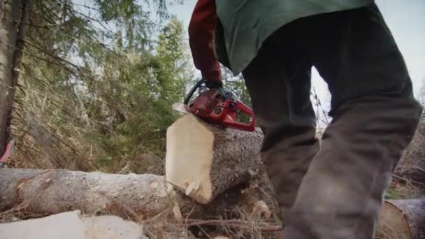 Slow Motion Closeup First Cut Tidied Chainsaw — Stock Video