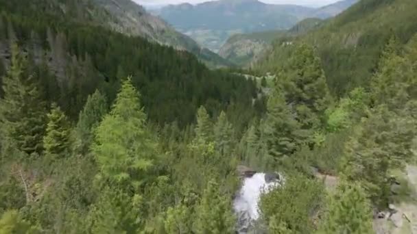 Aerial Tilt Shot Forest Trees Flowing River Downhill Mountain Sunbeam — Stock videók