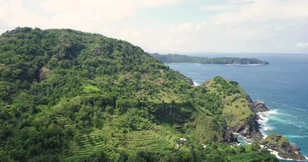 Aerial View Mountain Agricultural Terraces Shoreline Rocky Coast Indonesia — Stock Video