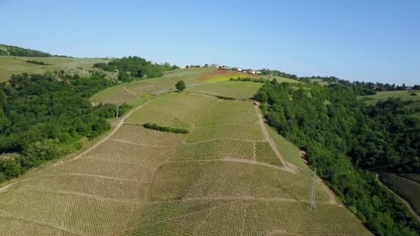 Cinematic Aerial Footage Van Famojus Franse Terraced Wijngaarden Drone — Stockvideo