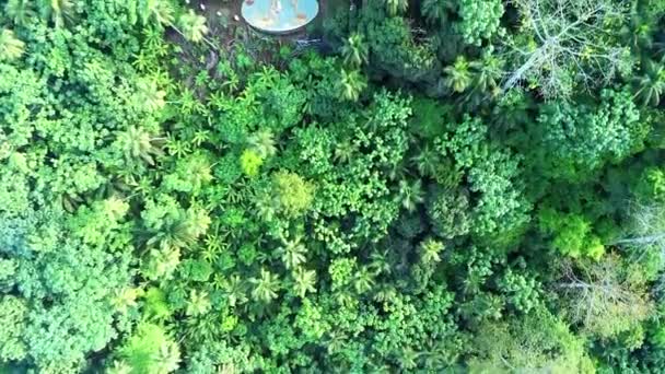 Von Oben Marco Equador Mitten Wald Ein Kleines Monument Das — Stockvideo