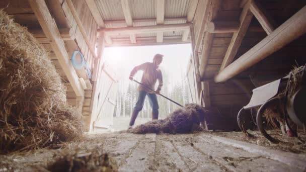 Slow Motion Lens Flare Agricultor Forquilha Feno Escotilha — Vídeo de Stock