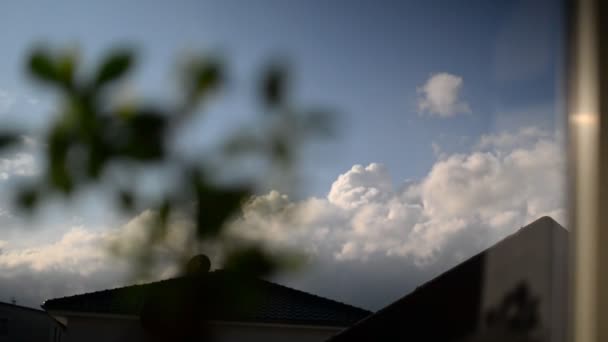 Árvore Bonsai Embaçada Frente Nuvens Trovoada Bouffant Vistas Trás Uma — Vídeo de Stock