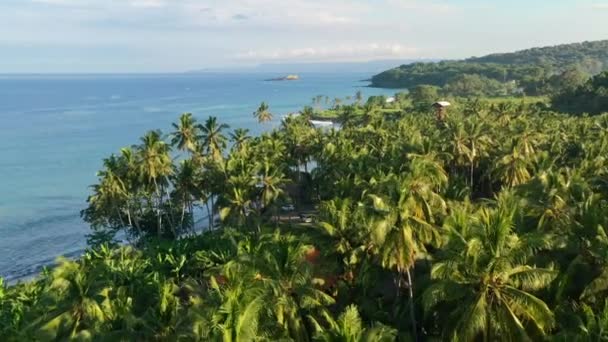 Van Campista Estacionado Campo Coco Ilha Tropical Com Vista Para — Vídeo de Stock