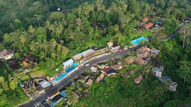 Motorbikes Jungle Road Tegallalang Rice Terrace Ubud Bali Sunrise Aerial — Vídeos de Stock