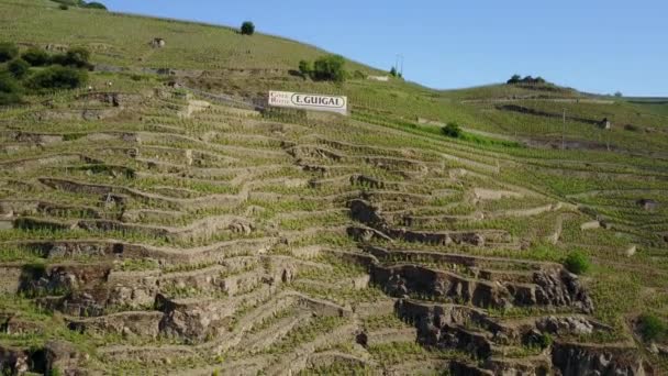Guigal Chapoutier Steep Cote Rotie Terraced Vineyard Aerial Drone — Stock video
