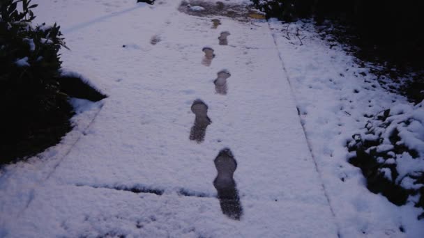 Dusk Shot Footprints Snow — Vídeo de stock