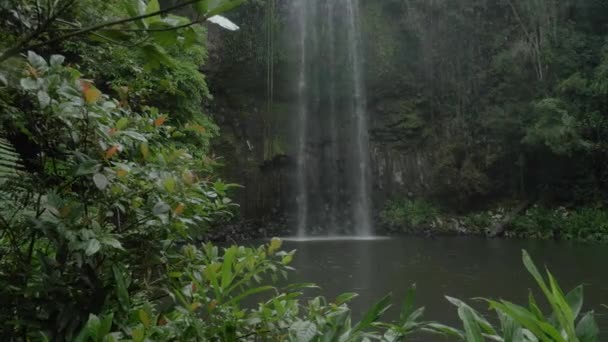 Millaa Millaa Falls Tropical Forest Rainy Day North Queensland Australia — 비디오