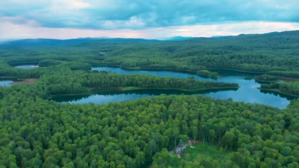 Drone Video Lakes Boreal Forest Talkeetna Summer Evening – Stock-video