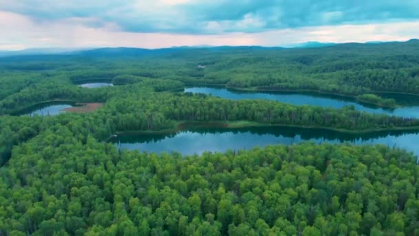 Drone Video Lakes Boreal Forest Talkeetna Summer Evening — Vídeo de stock