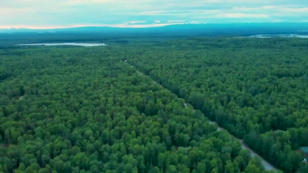 Drone Video Cabins Boreal Forest Susitna River Talkeetna Summer Evening — Vídeo de Stock