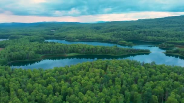 Drone Video Lakes Boreal Forest Talkeetna Summer Evening — Stock videók