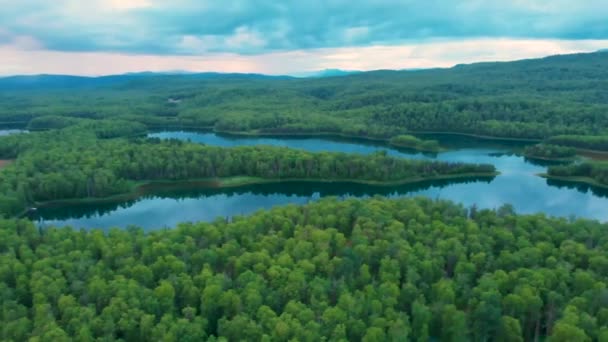 Drone Video Lakes Boreal Forest Talkeetna Summer Evening — Wideo stockowe