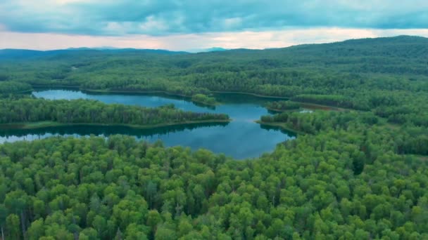 Drone Video Lakes Boreal Forest Talkeetna Summer Evening — стокове відео