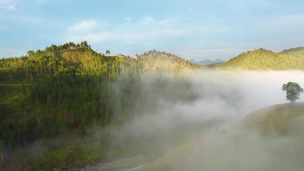 Aerial Shot Foggy Mountainous Area — Stok Video