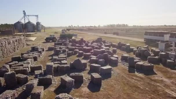 Drone Flies Field Tractors Working Bales Alfalfa Silos Cows Background — Vídeo de Stock