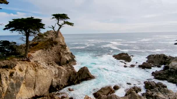 Иконическое Дерево Монтери Холме Lone Cypress Голубыми Океанскими Волнами Ударяющимися — стоковое видео